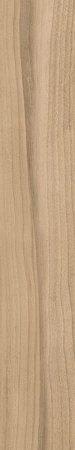 15 X 90 ANKA TAYGA BEJ