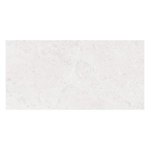 60 X 120 ASİANO MARMO BİANCO