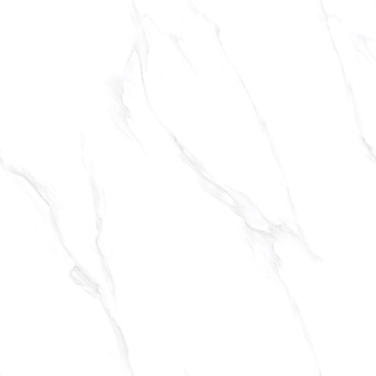 60 X 60 MODERNA MYF1008-R66