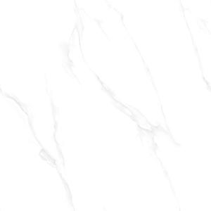 60 X 60 MODERNA MYF1008-R66
