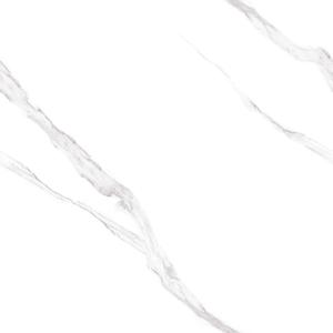 60 X 60 MODERNA MYF2016-R66