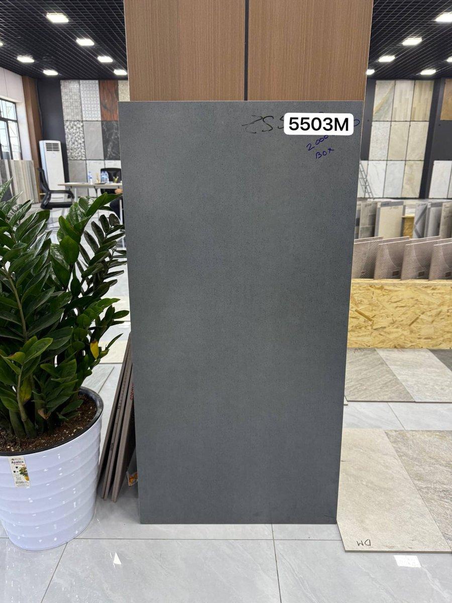 60 X 120 YONGXIN MUYNAK ZS5503M120