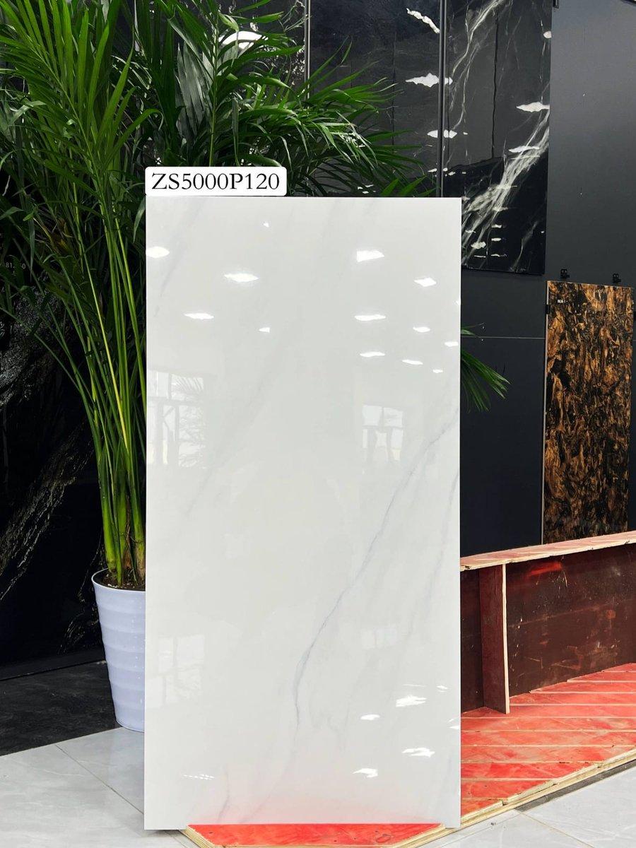60 X 120 YONGXIN MUBAREK ZS5000P120
