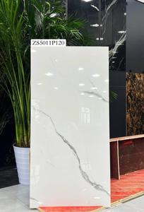 60 X 120 YONGXIN ASAKA ZS5011P120