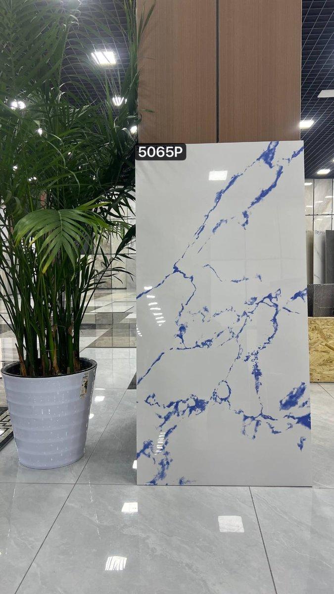 60 X 120 YONGXIN ZS5065P120